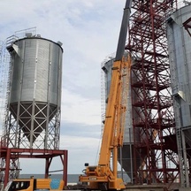 image-0-3